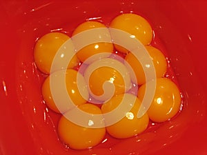 Egg yolk