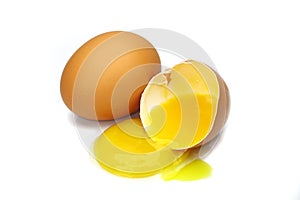 Egg yolk