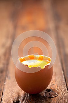 Egg with Yolk