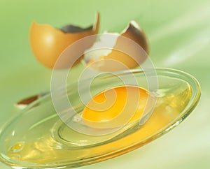 Egg yolk photo