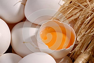 Egg yolk photo