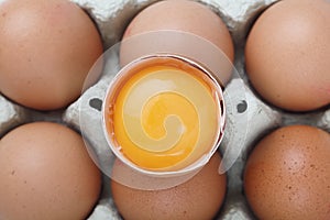 Egg yolk from above