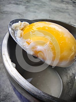 Egg yolk and albumin