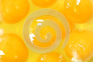 Egg Yolk Close Up Background photo
