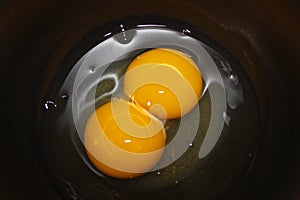 Egg Yolk Twin Two Yolks One Egg