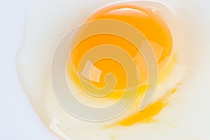 Egg Yolk and White