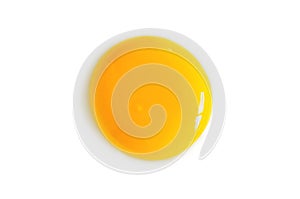 Egg Yolk on White Background