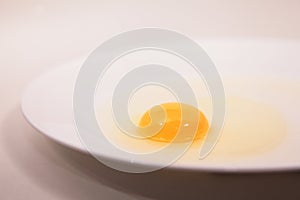 Egg Yolk