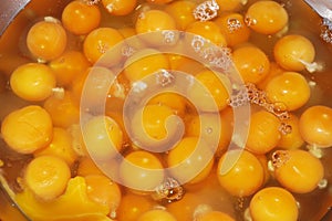 egg yolk and white, rich source of vitamin, mineral and protein