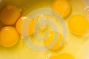 Egg yolks photo