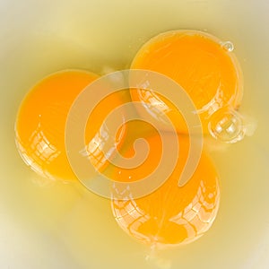 Egg Yolks and Whites