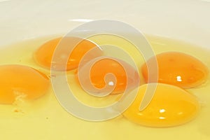 Egg yolks and whites photo