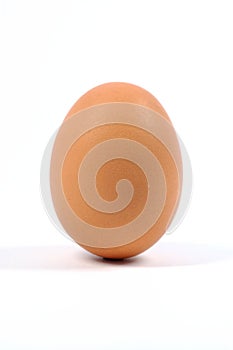 Egg9