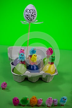 Eggbox with eggs and funny chicks, green background