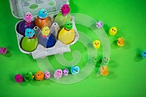 Eggbox with eggs and funny chicks, green background