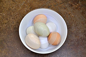 `The Eggers` white porcelan bowl filled with white brown pink and green farm fresh eggs