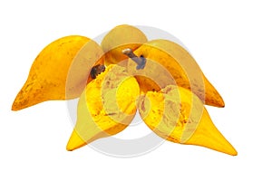 Eggfruit