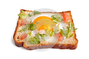 Eggie bread on white background