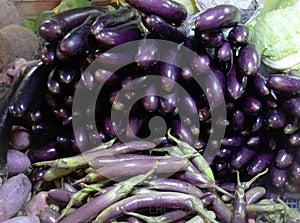 Eggplant