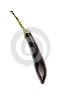 Eggplant