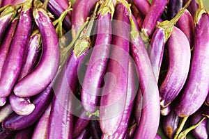 Eggplant