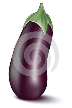 Eggplant
