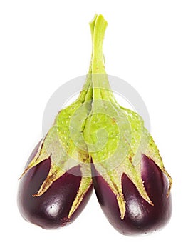 Eggplant