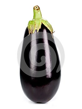 Eggplant