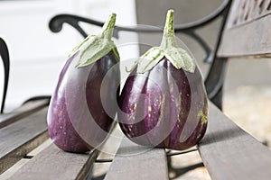 Eggplant, aubergine, melongene garden egg, guinea squash fruits on the bench