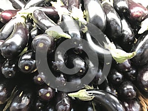 eggplant (aubergine) Solanum melongena or brinjals in sell market