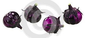Eggplant or aubergine Solanum melongena fruit, whole, isolated. Anthocyanin-rich vegatable