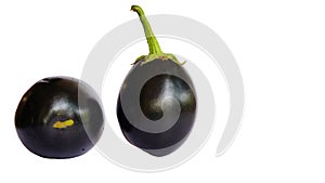 Eggplant, aubergine, Solanum melongena isolated on white background