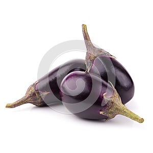 Eggplant or aubergine vegetable isolated on a white background