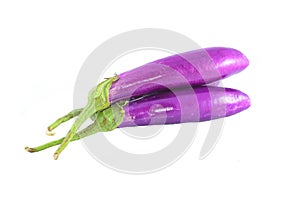 Eggplant or aubergine vegetable on white background