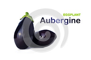 Eggplant or Aubergine on white background with title