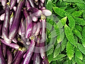 Eggplant and bittergourd