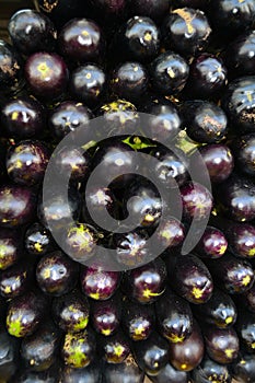 Eggplant Black Texture