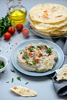 Eggplant dip baba ganoush mutabbal with herbs and paprika on gray wooden background. Selective focus. Traditional arabian food