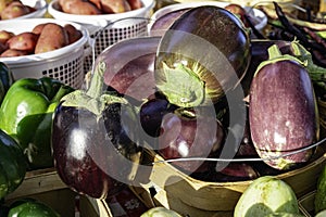 Eggplant on display at farmers market