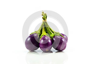 Eggplant fresh isolared on white background