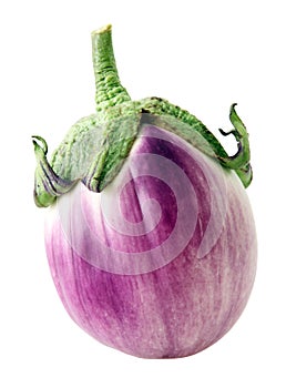 Eggplant fruit on a white background