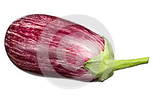 Eggplant Graffiti isolated on white background cutout. Aubergine. Healthy food