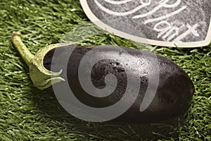 eggplant on grass with water drops
