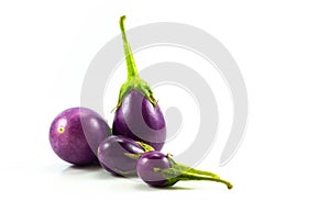 Eggplant isolared on white background