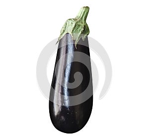 Eggplant isolated on white background - Easy to cut