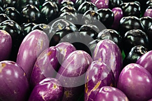 Eggplant at Jean-Talon Market photo