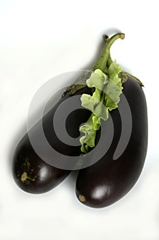 Eggplant with lettuce on white background