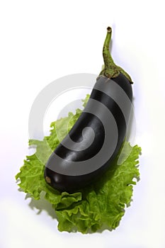 Eggplant with lettuce on white background