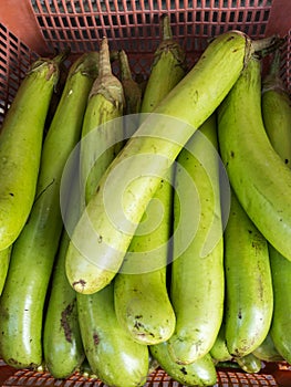 Eggplant at local market photo