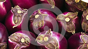 Eggplant on a market in italy